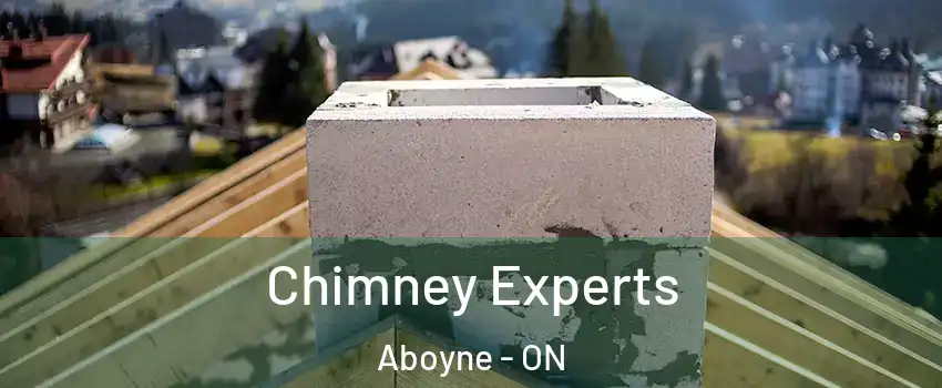  Chimney Experts Aboyne - ON