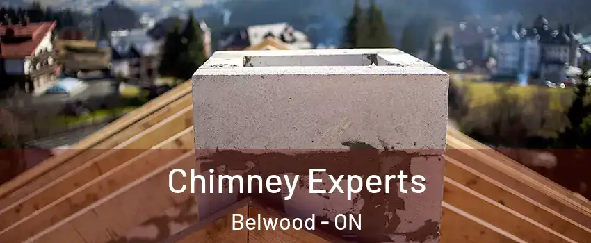  Chimney Experts Belwood - ON