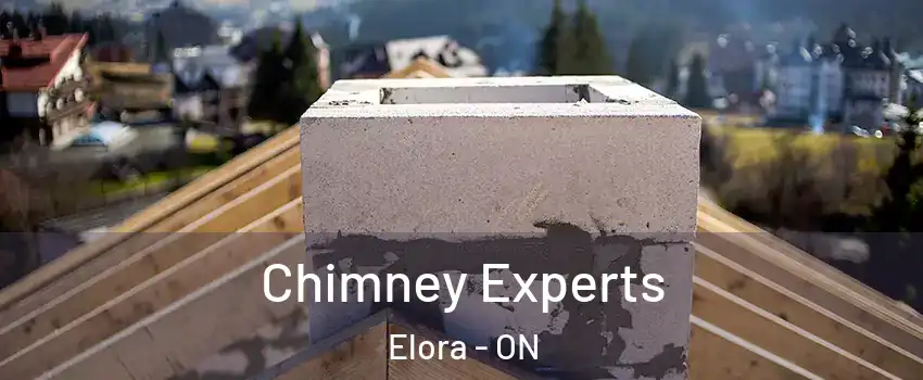  Chimney Experts Elora - ON