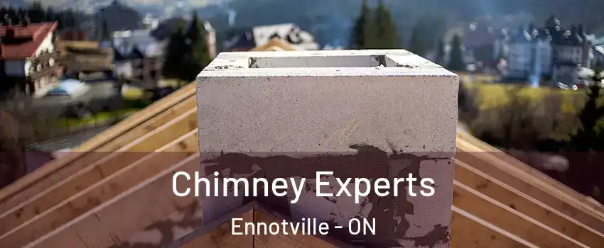  Chimney Experts Ennotville - ON
