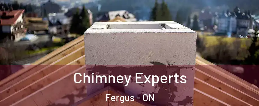  Chimney Experts Fergus - ON