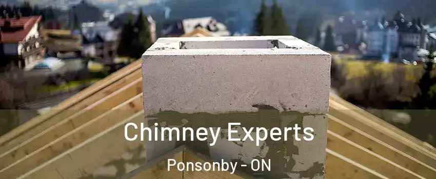  Chimney Experts Ponsonby - ON