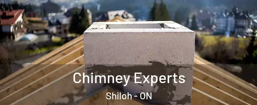  Chimney Experts Shiloh - ON