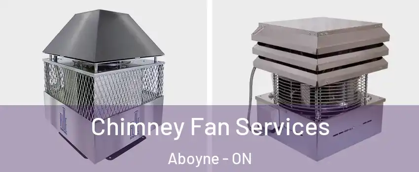  Chimney Fan Services Aboyne - ON