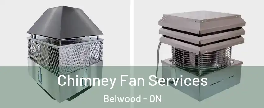  Chimney Fan Services Belwood - ON