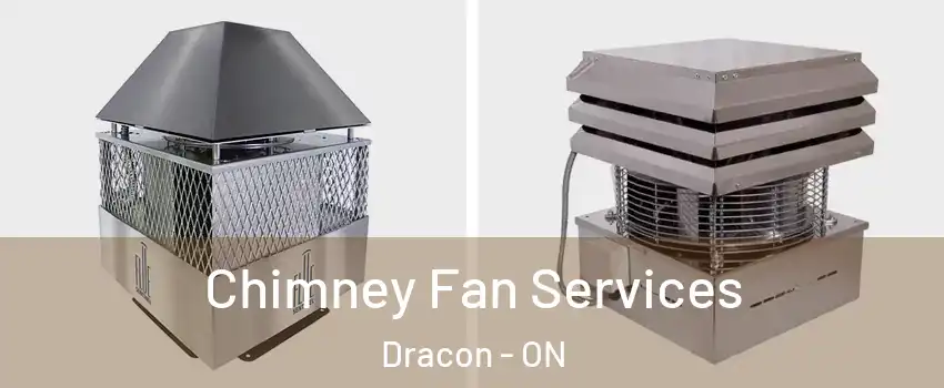  Chimney Fan Services Dracon - ON