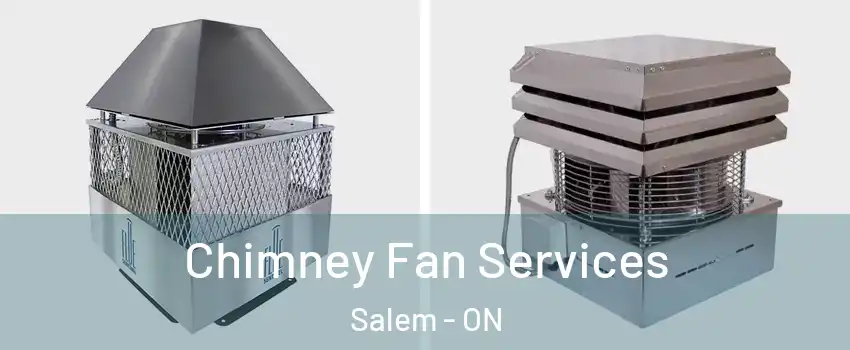  Chimney Fan Services Salem - ON