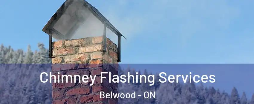  Chimney Flashing Services Belwood - ON