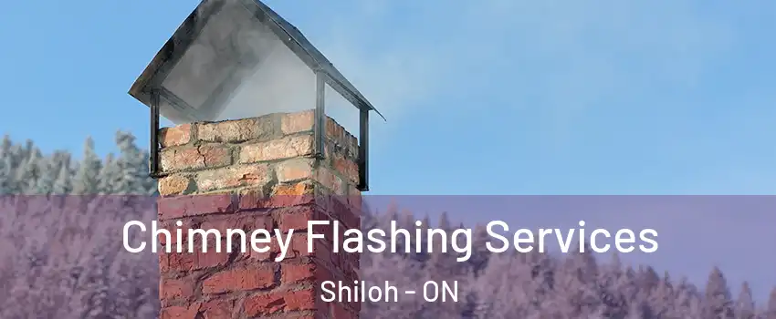  Chimney Flashing Services Shiloh - ON