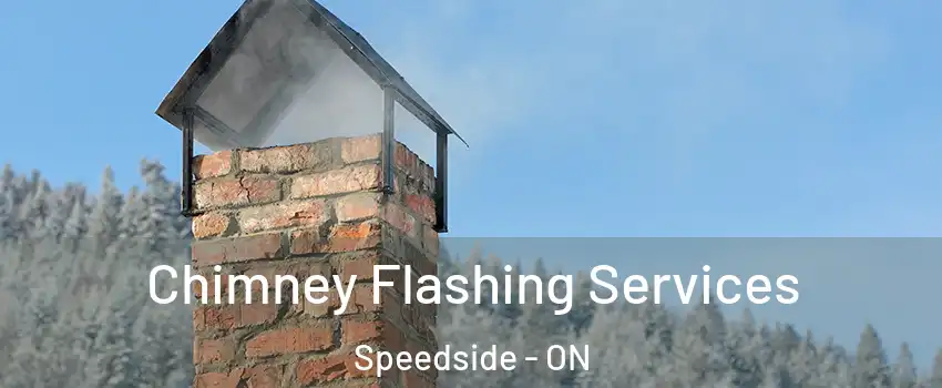  Chimney Flashing Services Speedside - ON