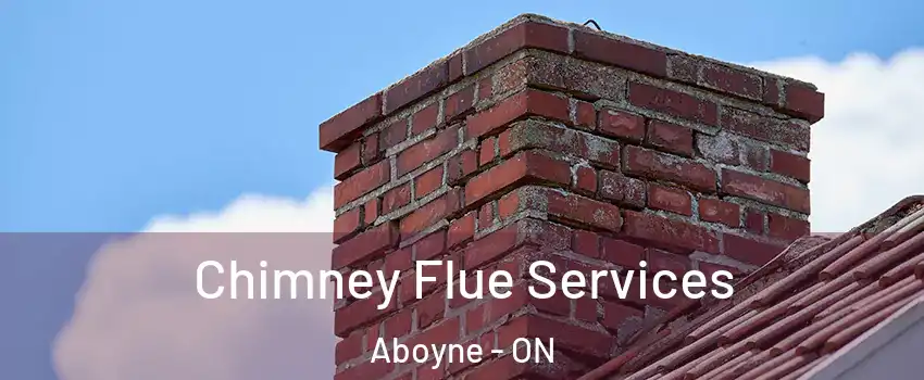  Chimney Flue Services Aboyne - ON