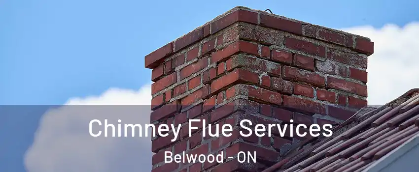  Chimney Flue Services Belwood - ON