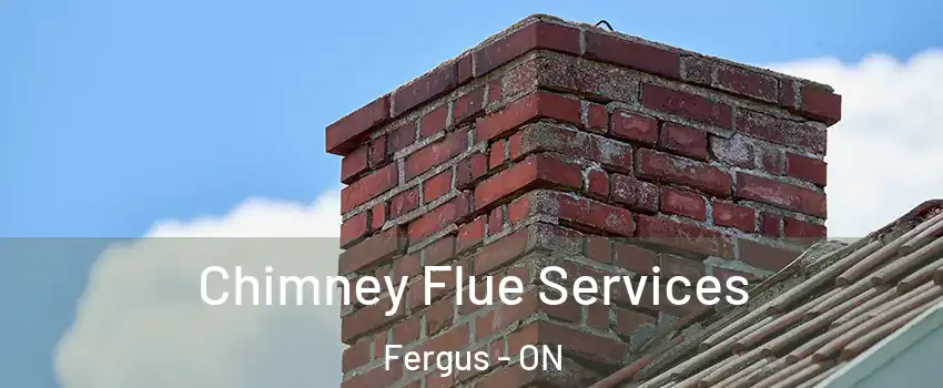  Chimney Flue Services Fergus - ON