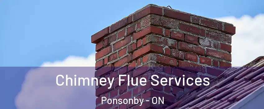  Chimney Flue Services Ponsonby - ON