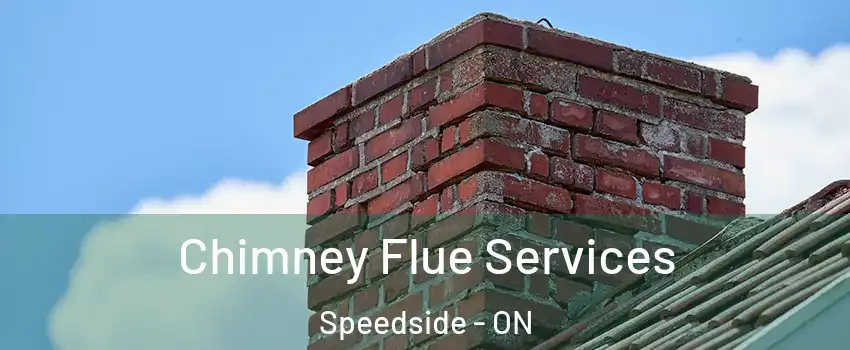  Chimney Flue Services Speedside - ON