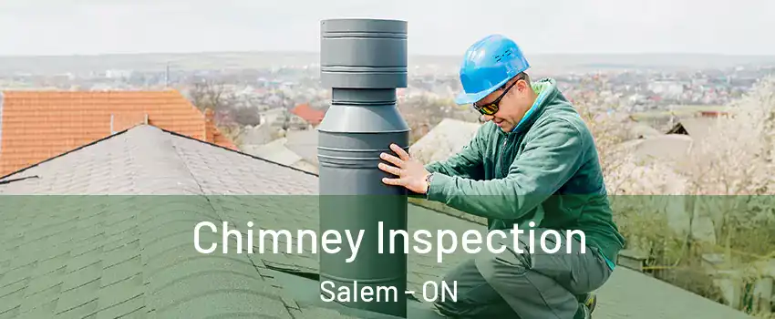  Chimney Inspection Salem - ON