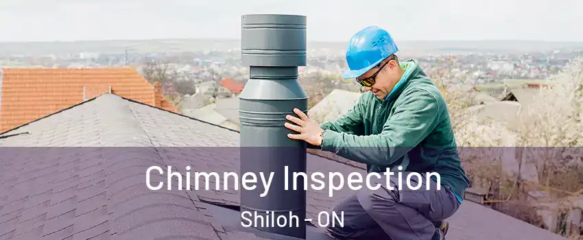  Chimney Inspection Shiloh - ON