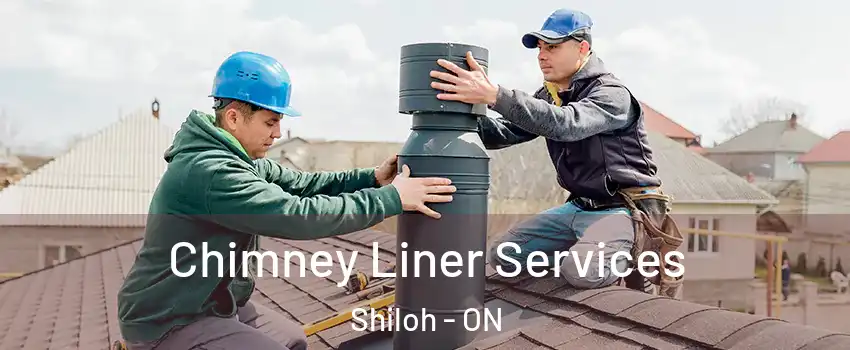  Chimney Liner Services Shiloh - ON