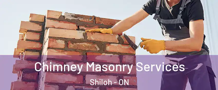  Chimney Masonry Services Shiloh - ON