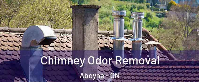  Chimney Odor Removal Aboyne - ON