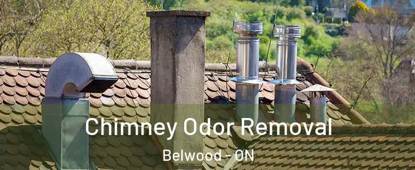  Chimney Odor Removal Belwood - ON