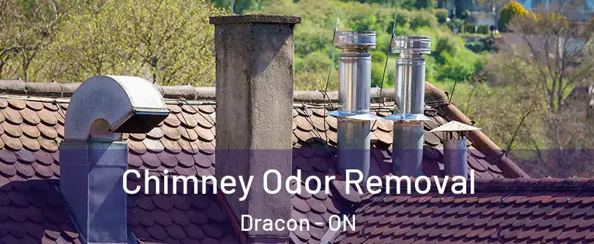  Chimney Odor Removal Dracon - ON
