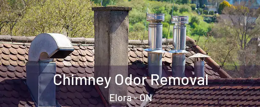  Chimney Odor Removal Elora - ON