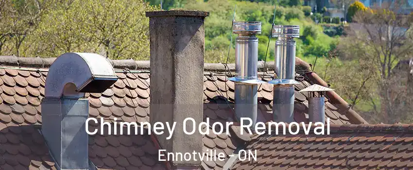 Chimney Odor Removal Ennotville - ON