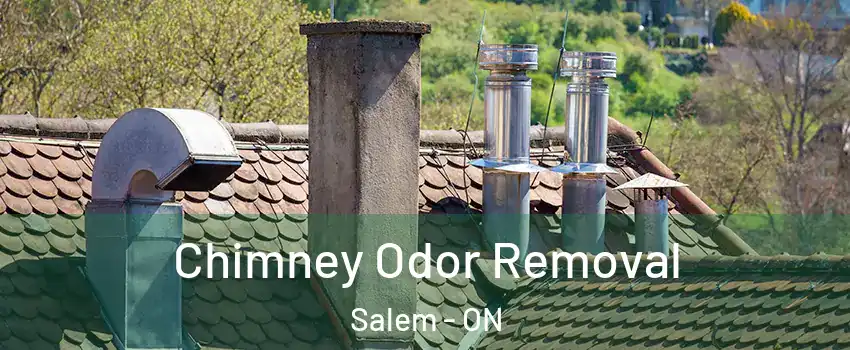  Chimney Odor Removal Salem - ON