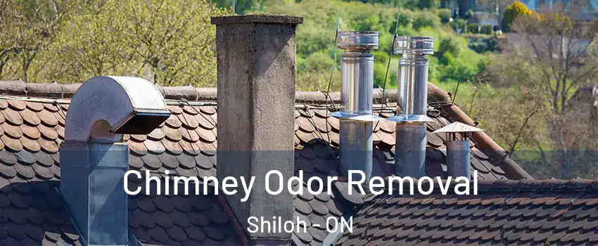  Chimney Odor Removal Shiloh - ON