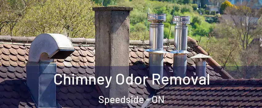  Chimney Odor Removal Speedside - ON