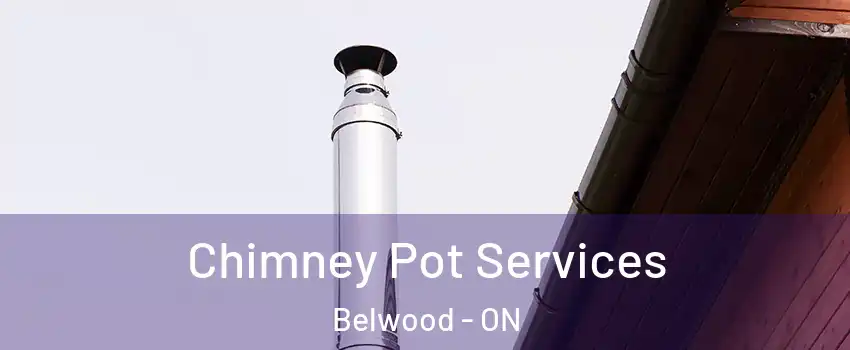  Chimney Pot Services Belwood - ON