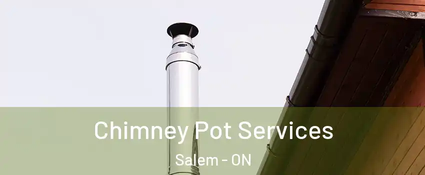  Chimney Pot Services Salem - ON