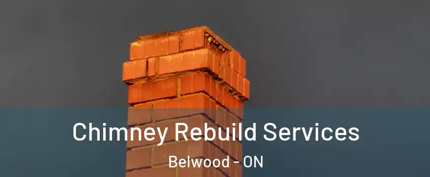  Chimney Rebuild Services Belwood - ON