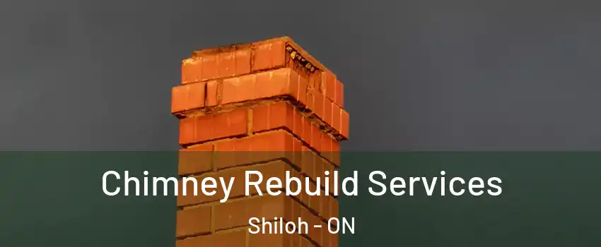  Chimney Rebuild Services Shiloh - ON