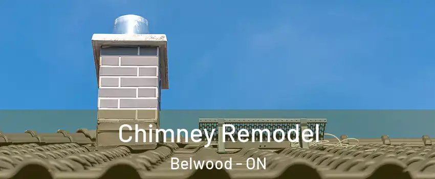  Chimney Remodel Belwood - ON