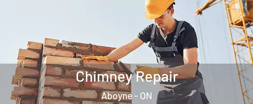  Chimney Repair Aboyne - ON