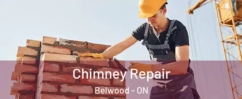  Chimney Repair Belwood - ON