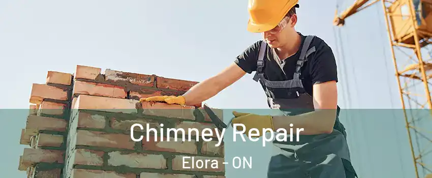  Chimney Repair Elora - ON