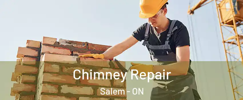  Chimney Repair Salem - ON