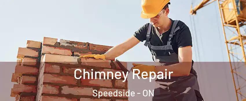  Chimney Repair Speedside - ON