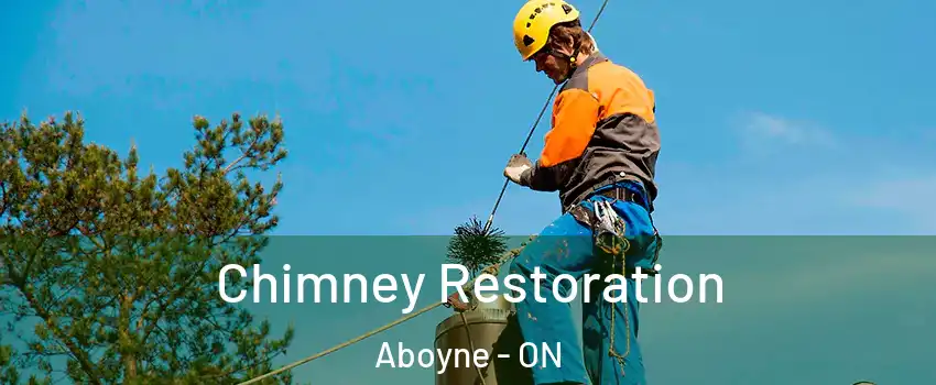  Chimney Restoration Aboyne - ON