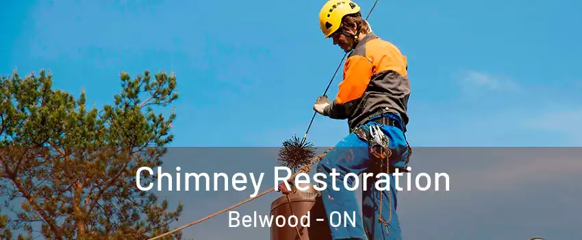  Chimney Restoration Belwood - ON