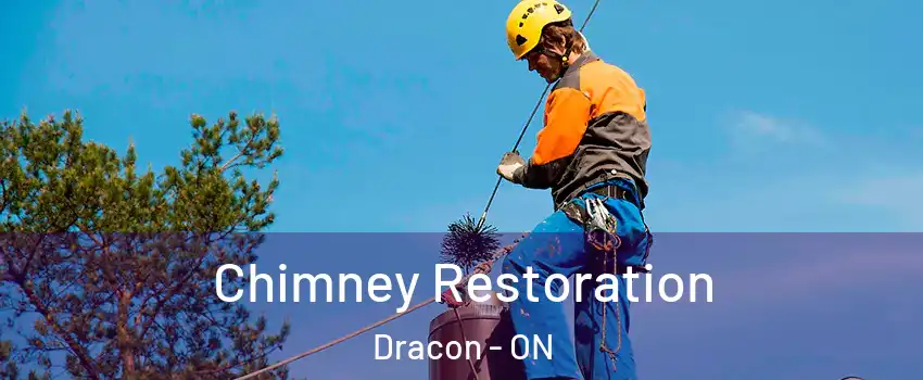  Chimney Restoration Dracon - ON
