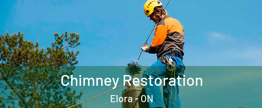  Chimney Restoration Elora - ON