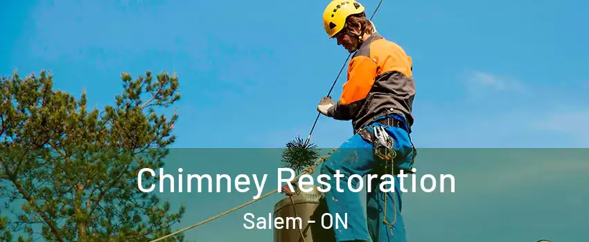 Chimney Restoration Salem - ON