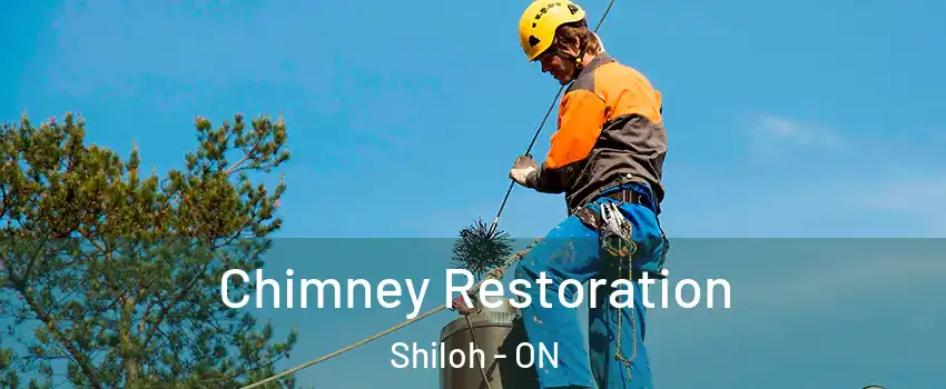  Chimney Restoration Shiloh - ON
