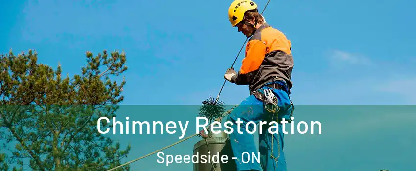  Chimney Restoration Speedside - ON