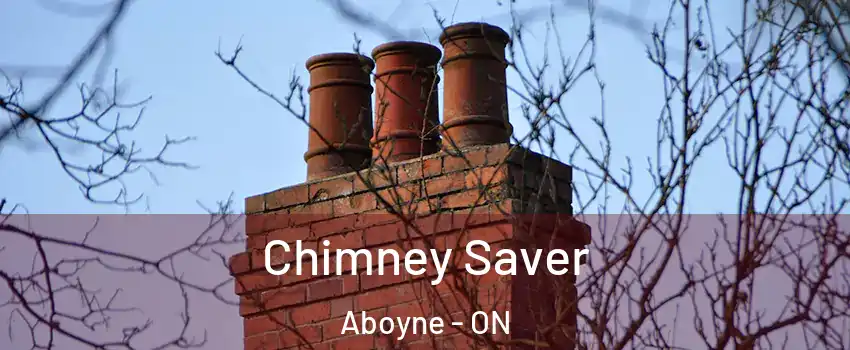  Chimney Saver Aboyne - ON
