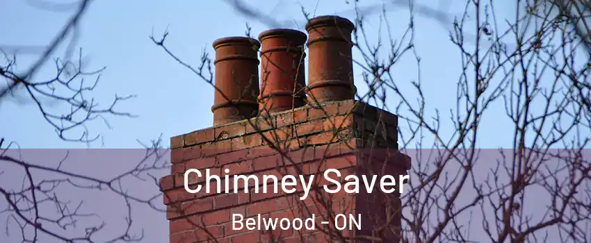  Chimney Saver Belwood - ON